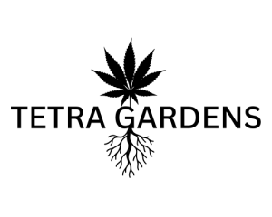 tetra black